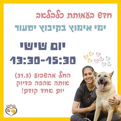 מודעה לימי אימוץ כלבים בעמותת כלבלאב