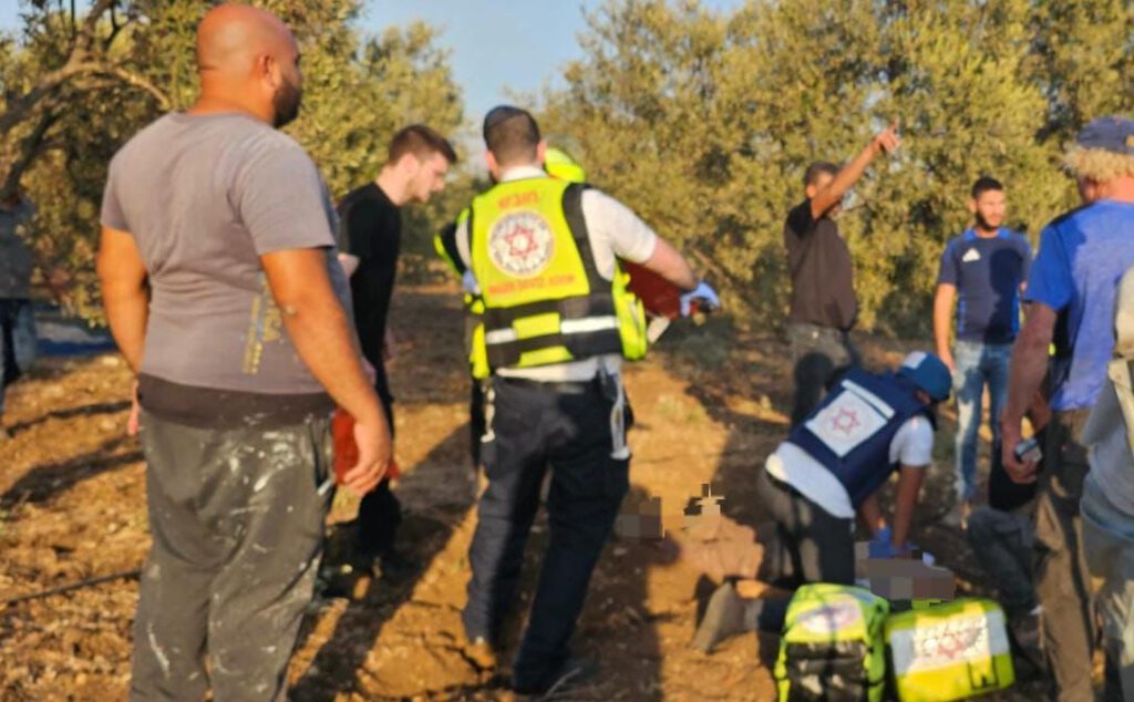 מטפלים בפצועים במטע הזיתים בקרית אתא