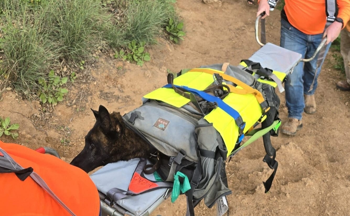 כלב(גמלאי עוקץ) ובעליו חולצו ממים סוערים בחצבאני(שניר)